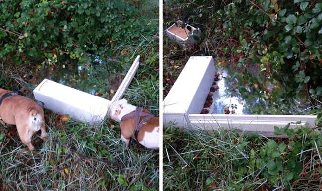 rifiuti discarica villa