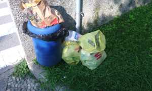 rifiuti disservizi cestino