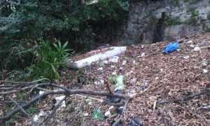 rifiuti fondotoce riserva