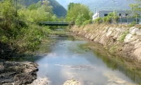 rio stronetta