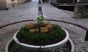 roggia intra fiorita