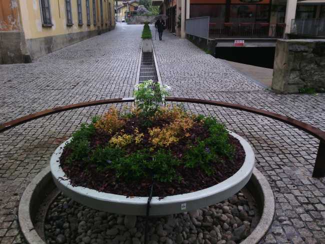 roggia intra fiorita