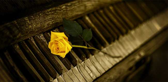 rosa piano