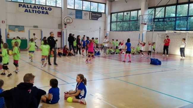 rosaltiora minivolley