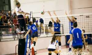 rosaltiora vega genn 16