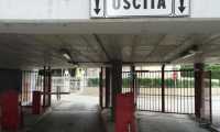 rosmini