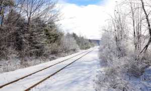 rotaie neve