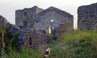 ruderi