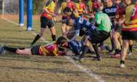rugby vb 6