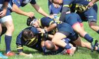 rugby vb