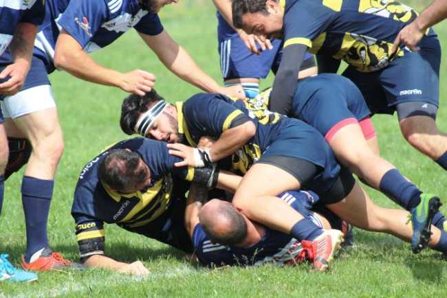 rugby vb