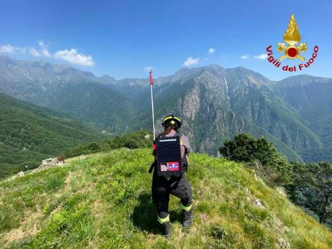 s alp ferr2 2