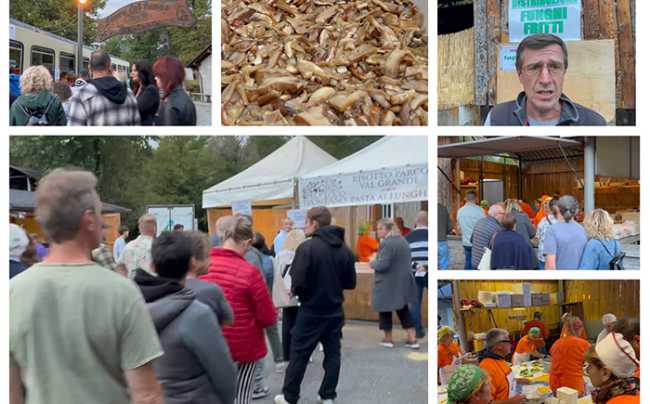 sagra fungo trontano mix 23 apertura