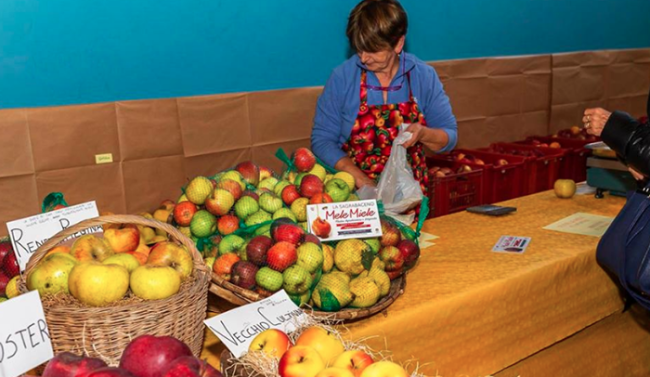 sagra mele miele 16 banco