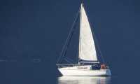 sailboat 4346475 1280