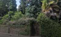 saini park
