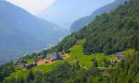 salecchio
