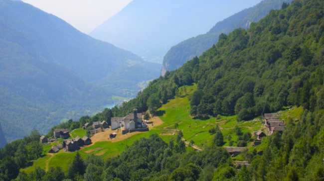 salecchio