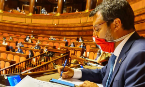 salvini senato