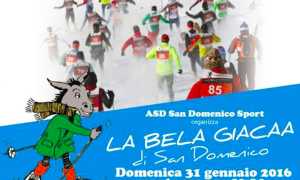 san domenico bela giacaa