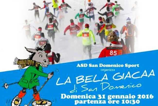 san domenico bela giacaa