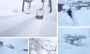 san domenico neve mix 18