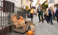 santa zucca 2017 1103 lr