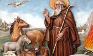 santanonioAbate15gennaio700