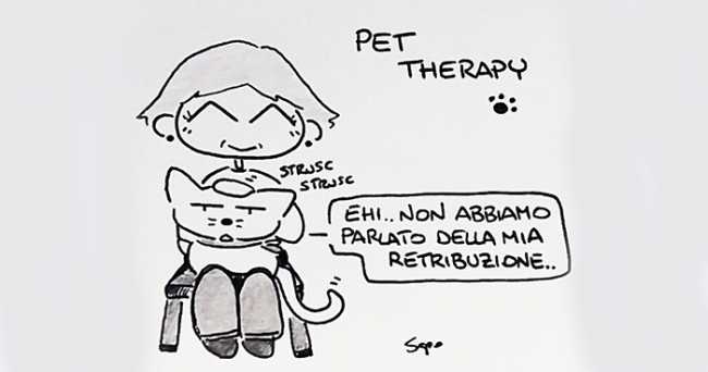 sapo 17 5 17 pet