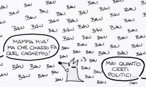 sapo cagnetto