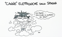 sapo canne elettroniche