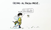 sapo falso miele