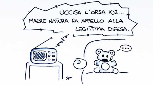 sapo orsa