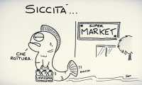 sapo siccita