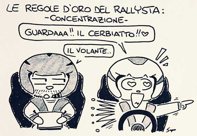 sapo vignetta rally 1