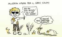 sapo vipere