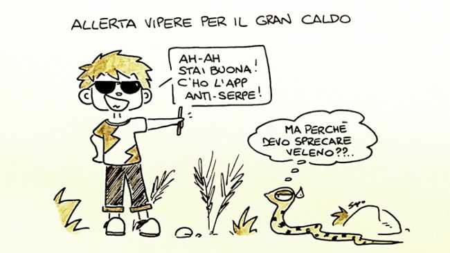 sapo vipere