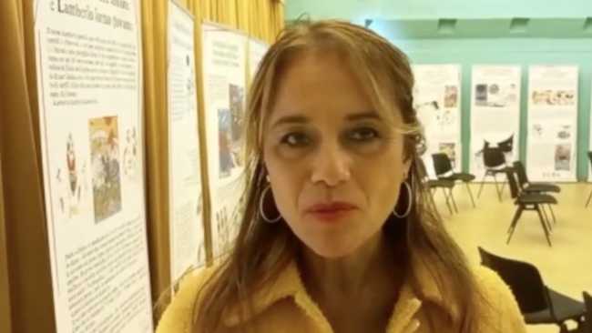 sara rubinelli