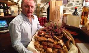 sartoretti divin porcello