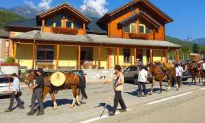 sbrinz route 16 crodo