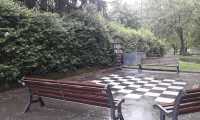 scacchi arona