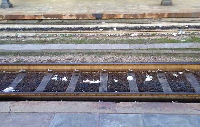 scarico treni binari