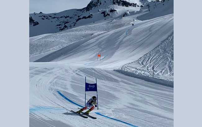 sci dsando francesi