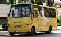 scuolabus albero seduto