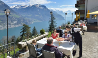 seelisberg vista lago