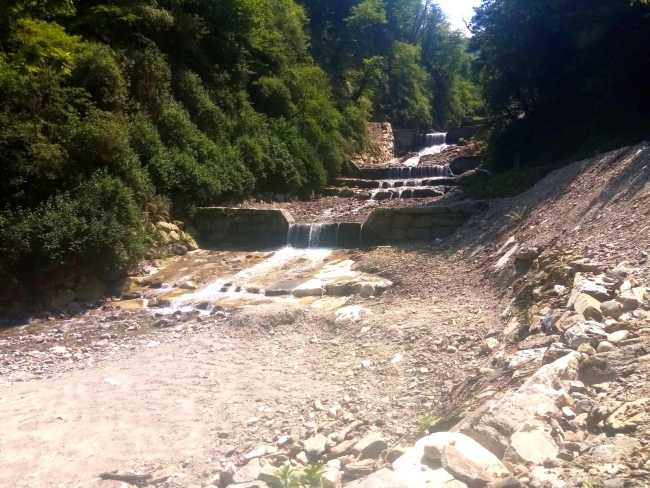 selva spessa