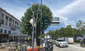 semaforo zebre intra due