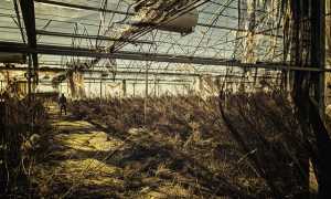 serra generica vuota