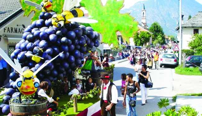 sfilata carro uva masera