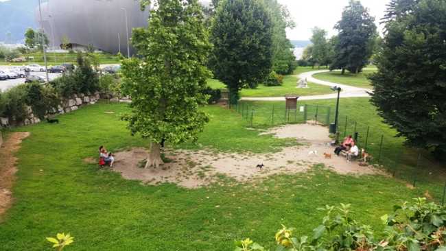 sgambatura cani parco